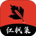 龙珠pw手机版下载APP应用